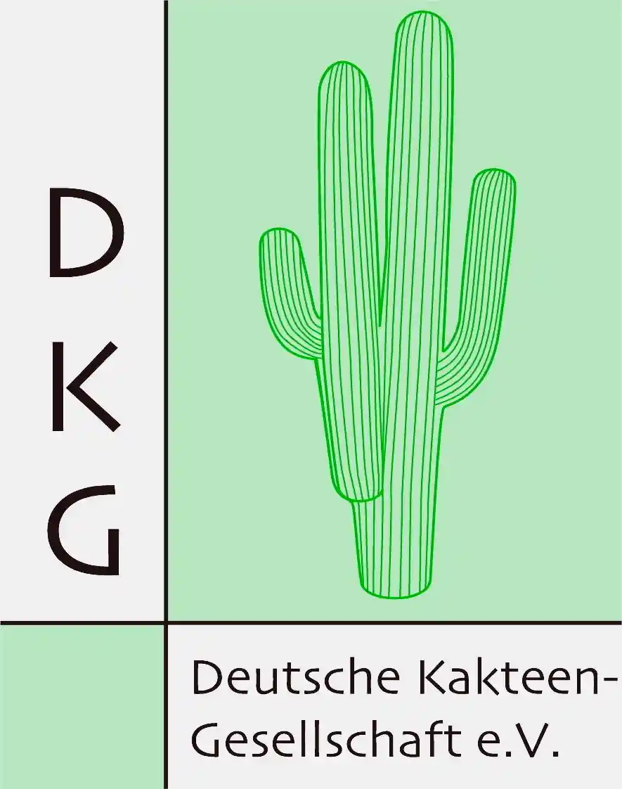 logo-dkg